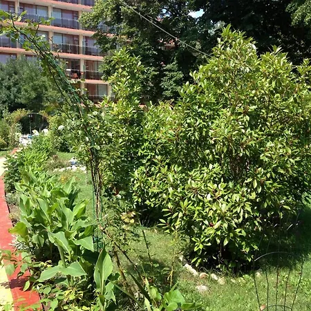 Jupiter מלון סאני ביץ'