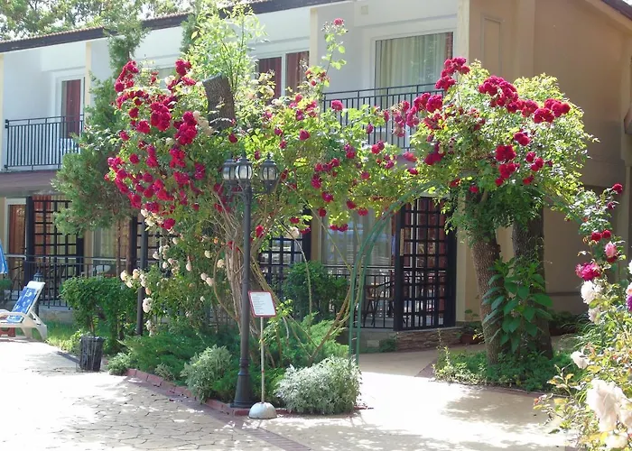 מלון Jupiter סאני ביץ'