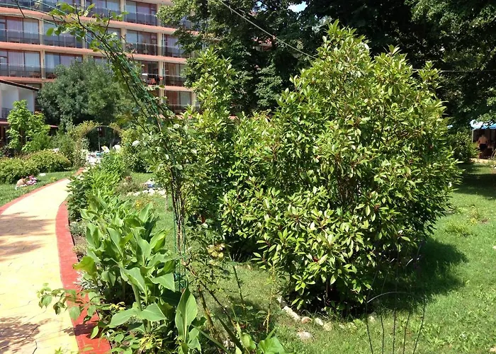 Jupiter מלון סאני ביץ'